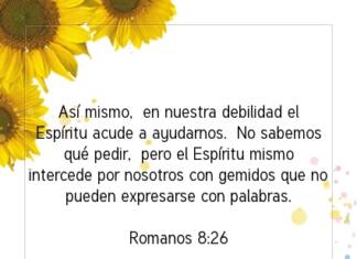 Postal – Así mismo, en…