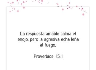 Postal – La respuesta amable calma…