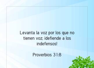 Postal – Levanta la voz por…