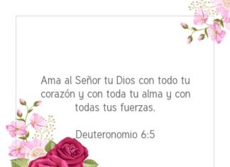 Postal – Ama al Señor tu…