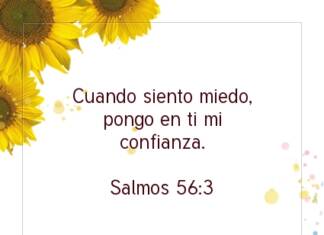Postal – Cuando siento miedo, pongo…