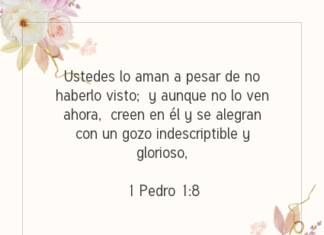 Postal – Ustedes lo aman a…