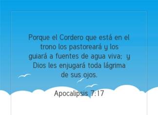 Postal – Porque el Cordero que…