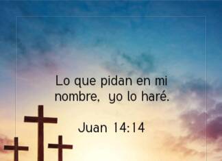 Postal – Lo que pidan en…