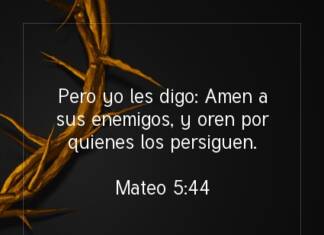 Postal – Pero yo les digo:…