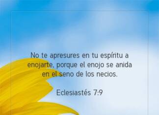 Postal – No te apresures en…