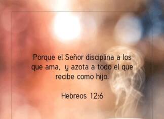 Postal – Porque el Señor disciplina…